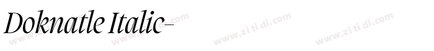 Doknatle Italic字体转换 Doknatle Italic字体转换